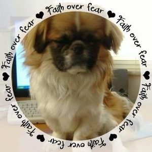 Meet your Posher, Sue